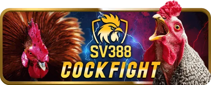 Cấp độ Đồng VIP